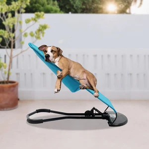 Portable Cat Rocking Chair Dog Snoring Chair Bed Rest Accessories Pet Rocking - Picture 1 of 22
