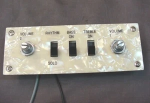 PIASTRA DI CONTROLLO INTERRUTTORE SCORREVOLE PER RIPARAZIONI CHITARRA HOFNER - Foto 1 di 4