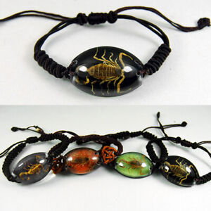 REAL GOLDEN SCORPION BLACK LUCITE BRACELET BANGLE INSECT JEWELRY TAXIDERMY GIFT