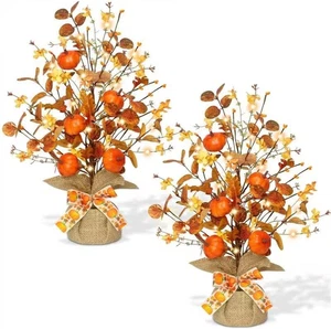 2 Pack Lighted Fall Tabletop Trees – LED Eucalyptus w/Pumpkins & Berries, Timer - Picture 1 of 12
