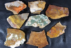 Jasper | Agate | P Wood | Slab Lot - 8 Slabs - AAA++ - 1 Lb, 3 Ozs - Bild 1 von 11