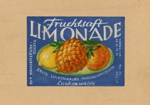 Etiqueta diseño gráfico zumo limonada frutas fruta bosque lucio fábrica Gouache - Imagen 1 de 2