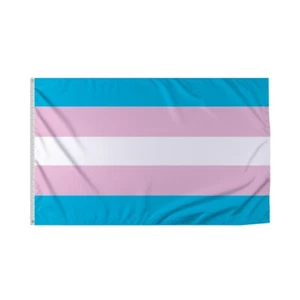 PromoPatriot's Transgender Trans Pride Flag - Durable & Vibrant Multi-Size LGBTQ - Picture 1 of 9
