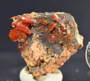 VANADINITE Crystal Cluster from Mibladen, Morocco - Picture 1 of 5