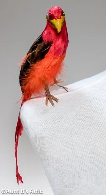 Parrot Prop 13" Red & Orange Feathered Pirate Costume Accessory Or Display Piece - Image 1 of 2