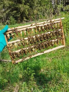 Zander Zuchtrahmen inkl Nicot Zubehör 45 Einheiten Imkereibedarf Bienenzucht - Bild 1 von 4
