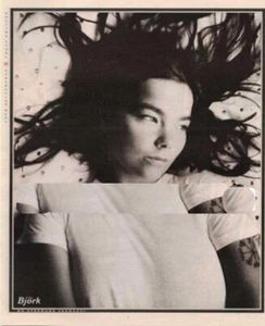 Bjork Magazine Photo - Foto 1 di 1