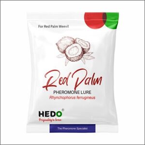 HEDO Pheromone Lure for Red Palm Weevil (Rhynchophorus ferrugineus) Pack of 10