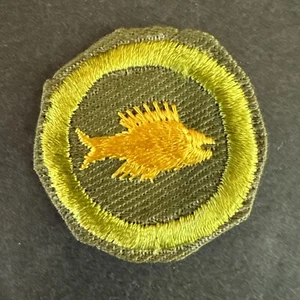 Insignia de mérito de pesca tipo E vintage 1952-1960 BSA Boy Scouts of America - RARA - Imagen 1 de 5