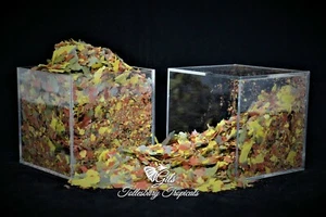 Premium Tropical Fish Flakes 200g -Guppy,Molly,Tetra,Neon - Picture 1 of 4