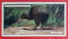 John Player Natural History Cigarette Card#6