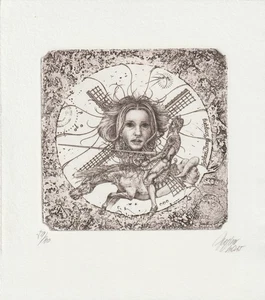 Original limited edition etching Exlibris "Don Quixote" by HUJBER GUNTER - Picture 1 of 1