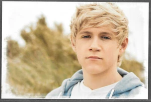 ONE DIRECTION 2012 Panini Global 4x6 Photocards / Photoprints - #20 Niall - 1D - Picture 1 of 2