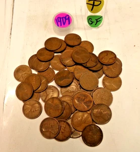 1909(P) LINCOLN WEIZEN CENT PFENNIGROLLE, 50 Münzen - Bild 1 von 5