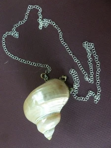 COLLANA CONCHIGLIA con catenina in argento 925 24" - Foto 1 di 6