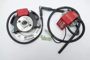 Kreidler Flory Florett innenrotorZündung Selettra KZ komplett Dmon 00131282 Mofa - Bild 1 von 1
