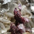 PROUSTITE *RED CRYSTALS ON CALCITE + PICROPHARMACOLITE ! Medenec, CZECH REPUBLIC