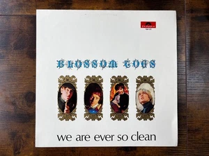 Blossom Toes - We Are Ever So Clean (LP) (Very Good (VG)) - 3453135744 - Bild 1 von 6