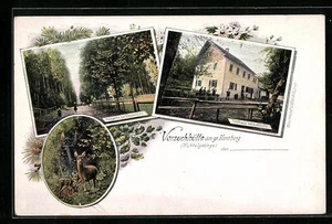 Gr. Kornberg, Waldpartie, Forsthaus Vorsuchhütte, Ansichtskarte  - Picture 1 of 2