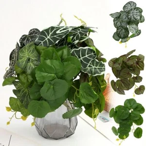 Taro Tortoiseshell Leaf Hanging Plant Wall Home Office Shop - Picture 1 of 16
