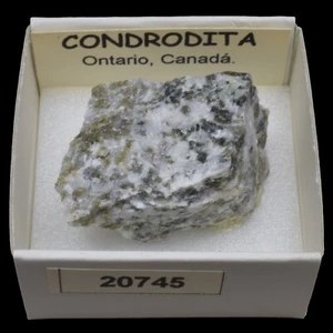 CONDRODITA (Ontario, Canada) #20745 / Chondrodite - Picture 1 of 1