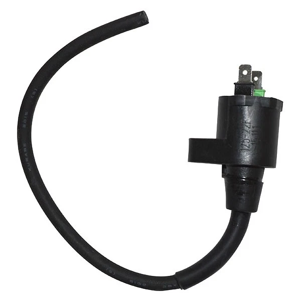 BOBINA AT ESTERNA SCOOTER HONDA/PEUGEOT/PIAGGIO MALAGUTI Madison RS 250 04-2005 - Immagine 1 di 1