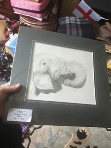 A. Firth Original Pencil 'Nelly' Elephant Drawing, Mounted And Sealed 35z37cm - Picture 1 of 5
