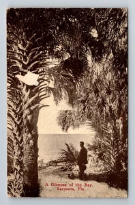 Sarasota FL-Florida Glimpse Of The Bay de colección c1912 postal estándar PC - Imagen 1 de 2