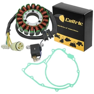 Caltric Stator & Gasket for Honda TRX300 Fourtrax 300 1988-1995 Replacement Part - Bild 1 von 3