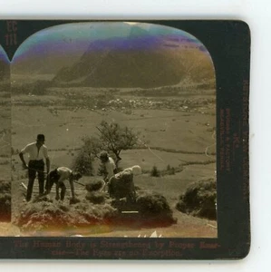 Human Body Strengthened by Exercise Eye Comfort Keystone Stereoview - Picture 1 of 3