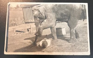 RPPC J.E. Henry Shows Traveling Circus JIP the Elephant & Trainer Nebraska 1910 - Picture 1 of 2