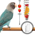  Parrot Feeder Stainless Steel Bird Feeding Tool Toys for Birds
