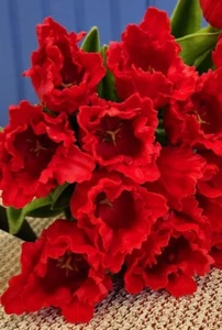 13 Inch Red Real Touch Parrot Tulip Bundle (12 Stems) K & K Interiors 18878A-RD - Picture 1 of 1