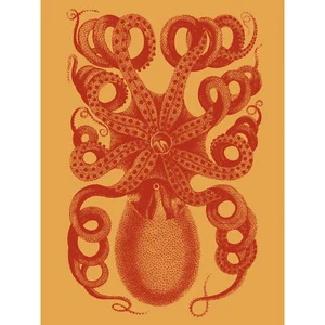 Oktopus Koralle Gelb Kunstplakat großer Druck 46x61 cm - Bild 1 von 5