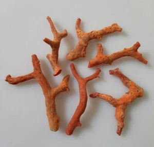 AAA+ Quality 100% Natural Italian Red coral Rough Loose Branch Tree gemstone. - Picture 1 of 7
