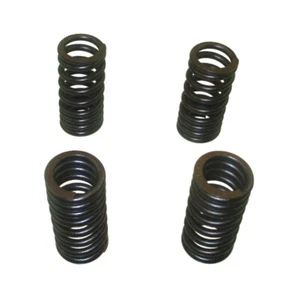 Valve Springs For Daytona Anima 150 190 4V FLX FDX FE Engine - Picture 1 of 5