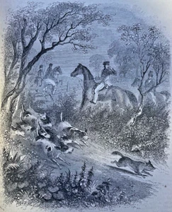 1856 Horses Through the Ages Horseback Riding illustrated - Picture 1 of 5