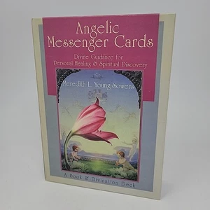 Angelic Messenger Cards Book & Divination Deck Meredith Young-Sowers Complete  - Bild 1 von 14