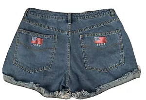 Pantaloncini jeans blu taglio denim effetto invecchiato ricamati taglia large - Foto 1 di 8