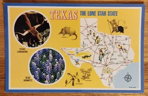 Postal mapa estatal 1981 de Mike Roberts Greetings from Texas The Lone Star - Imagen 1 de 1