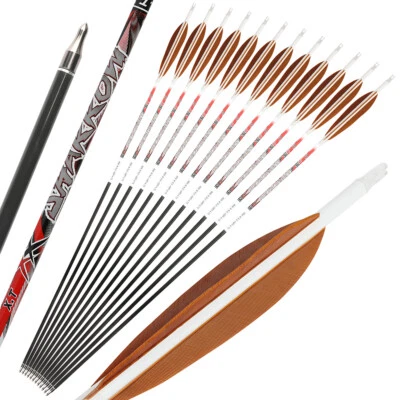 32" Pure Carbon Arrows 5" Feather SP300-800 Recurve Compound Bow Archery Hunting - Image 1 of 4