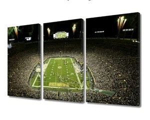 Stampa artistica da parete su tela Lambeau Field Wall Art stadio di calcio Greenbay Packers - Foto 1 di 7