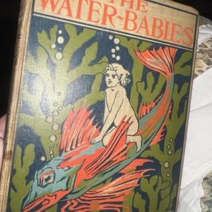 The Water Babies Charles Kingsley Illustrated 1899 HB - Bild 1 von 8