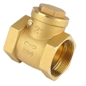Válvula de retención DN50 de latón válvulas antirretorno oscilantes de 2" tubo de válvula de rosca hembra... - Imagen 1 de 8
