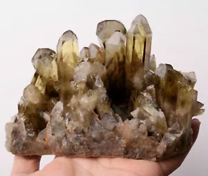 3.2lb Natural Clear Smoky Citrine Quartz Crystal Cluster Point Healing Mineral - Picture 1 of 9