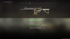 Cod Mw2   Modern Warfare 2 Max Level Weapon Ps4 Ps5 Xbox Pc Weapon Service