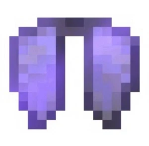 DonutSMP | 1x Elytra | Cheap and Fast Delivery | 100% Safe | READ DESCRIPTION - Picture 1 of 2