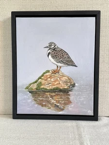 Turnstone Original Oil Painting on Canvas - Wildlife Art - Signed 2025 - Picture 1 of 5