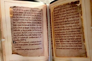 Beowulf 975-1025 - Premium Leather Facsimile - Picture 1 of 7