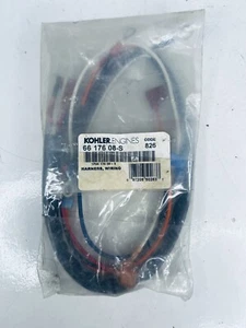 Arnés Kohler cableado EFI 66 176 08-S NLA - Imagen 1 de 4